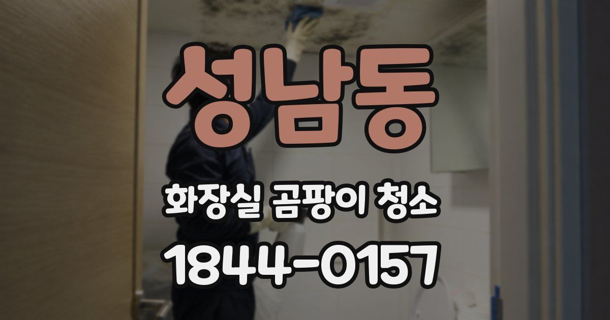 성남동 화장실 곰팡이 청소