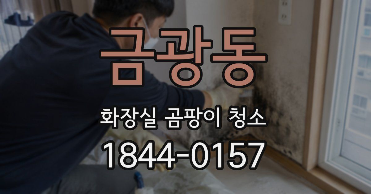 금광동 화장실 곰팡이 청소