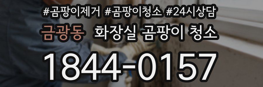금광동 화장실 곰팡이 청소