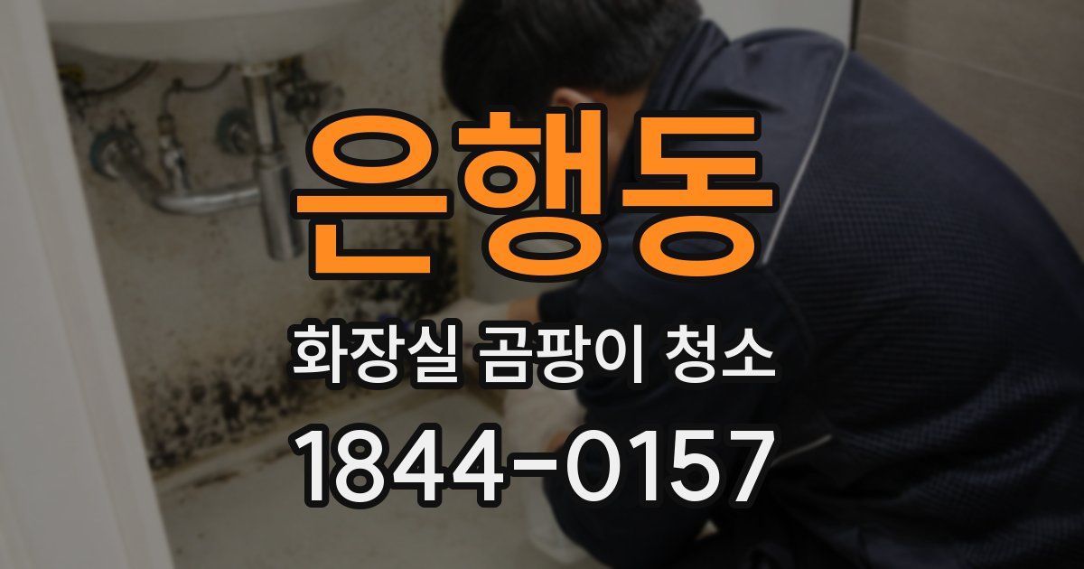 은행동 화장실 곰팡이 청소
