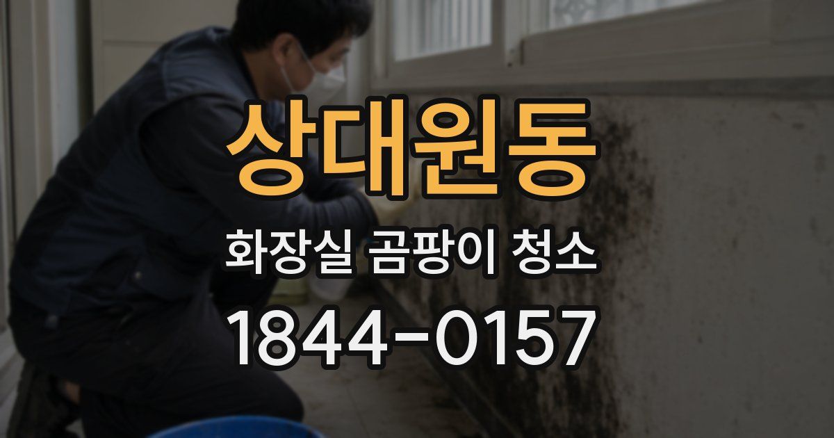 상대원동 화장실 곰팡이 청소