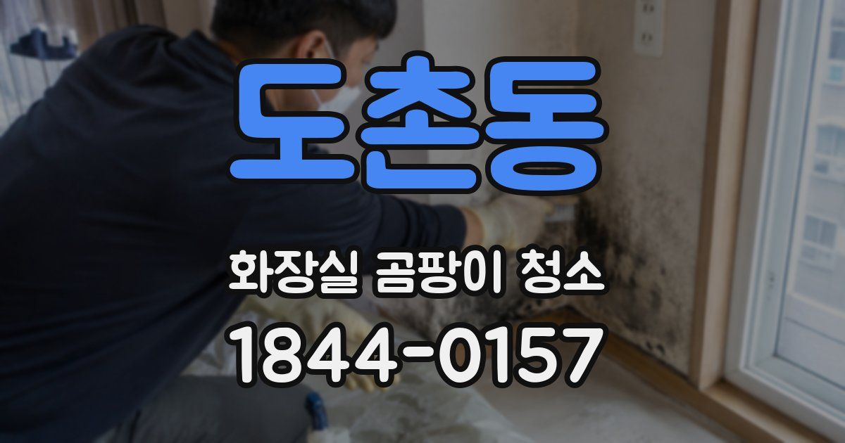 도촌동 화장실 곰팡이 청소