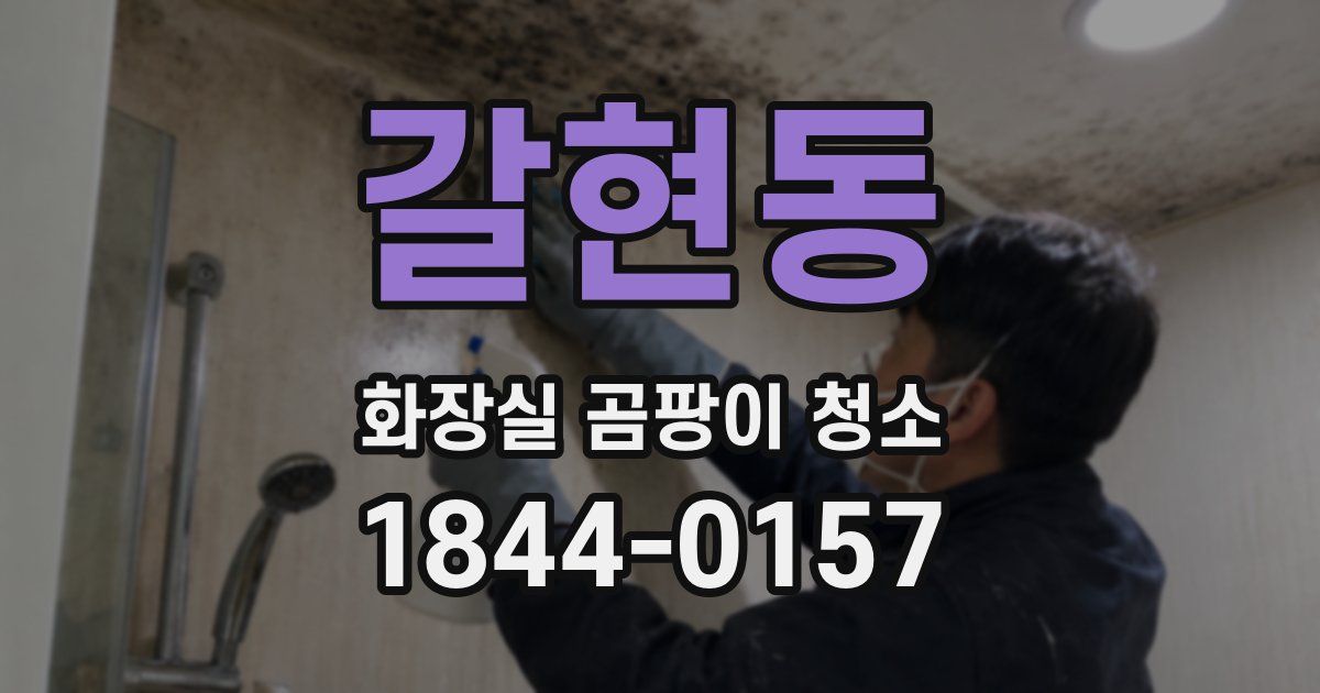 갈현동 화장실 곰팡이 청소