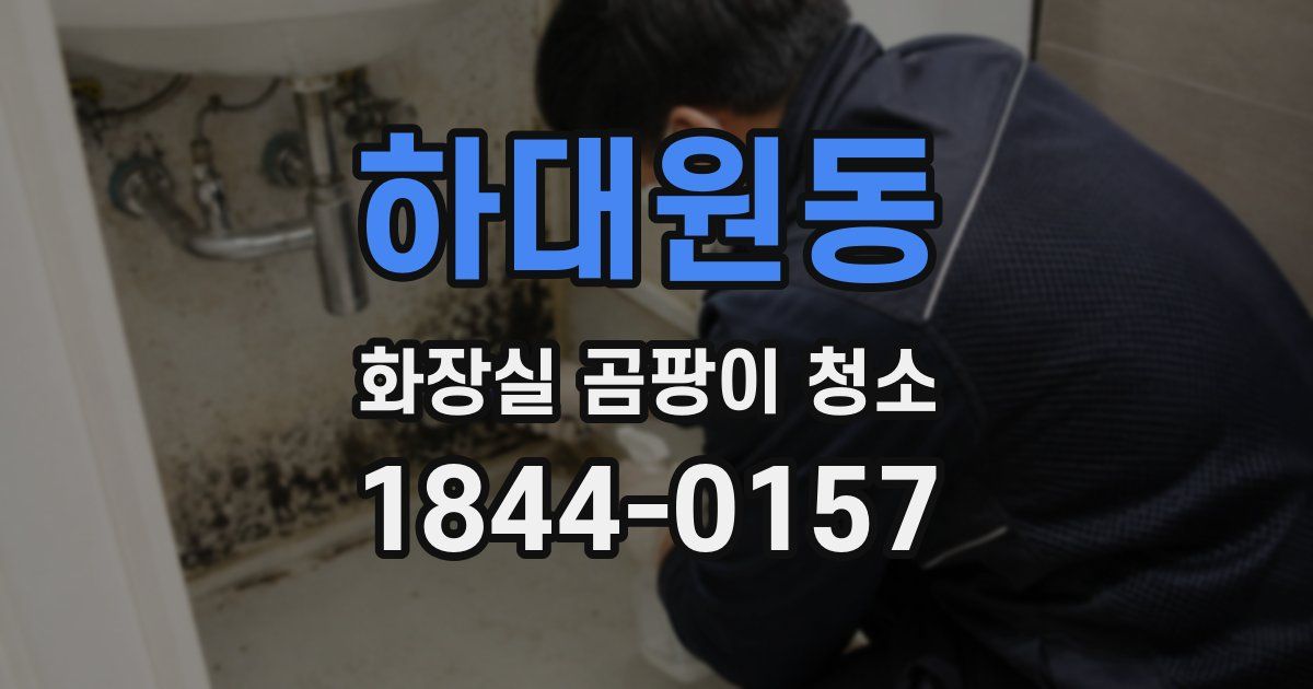 하대원동 화장실 곰팡이 청소
