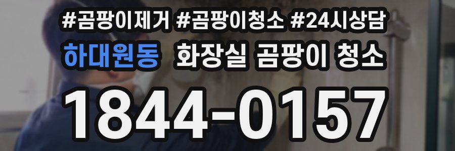 하대원동 화장실 곰팡이 청소