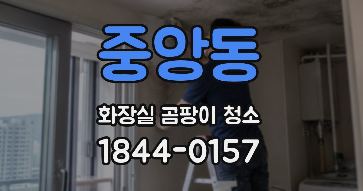 중앙동 화장실 곰팡이 청소