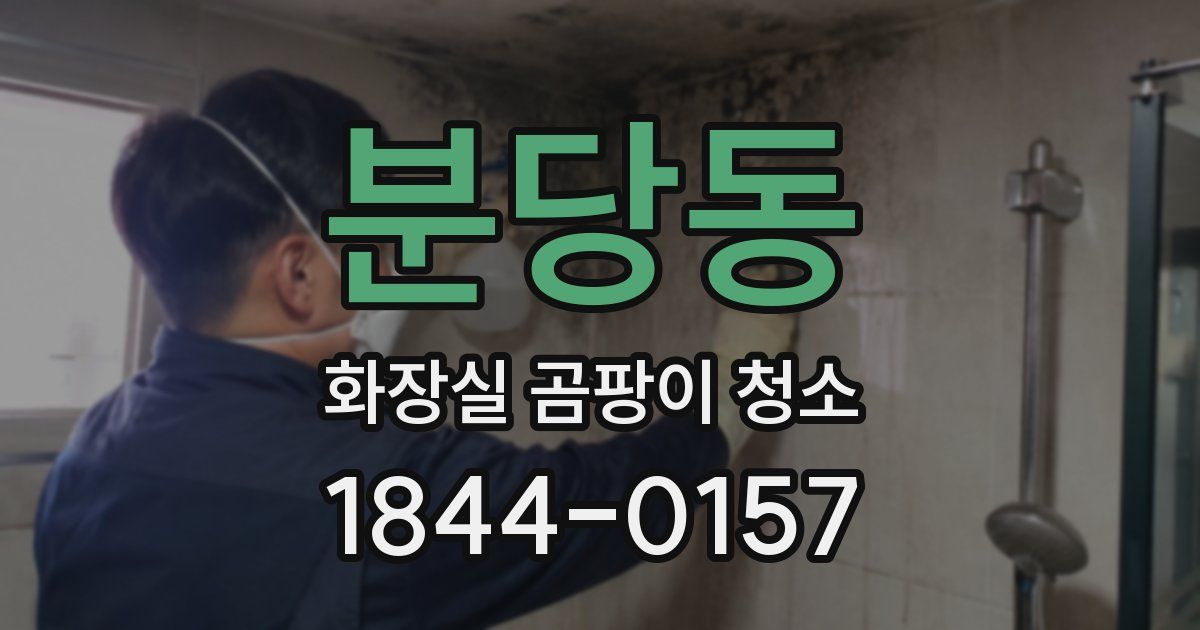 분당동 화장실 곰팡이 청소