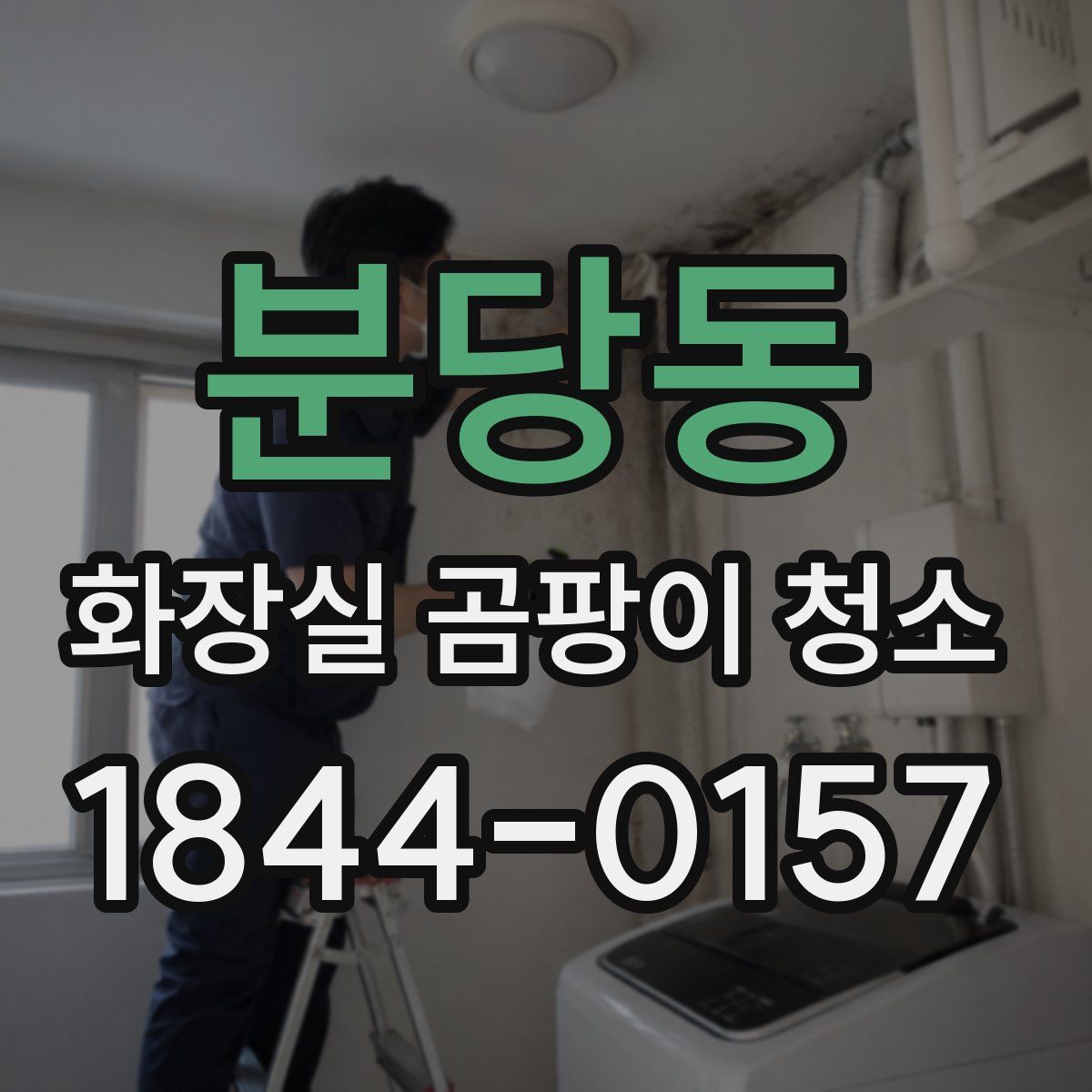 분당동 화장실 곰팡이 청소