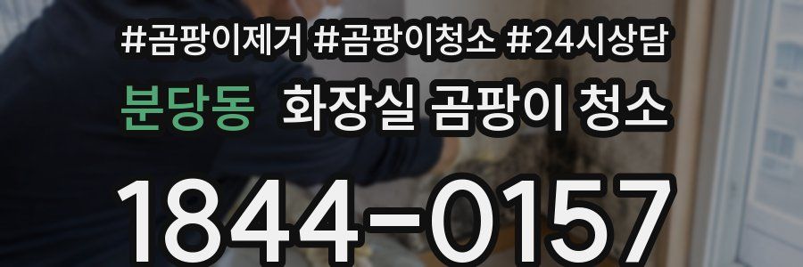 분당동 화장실 곰팡이 청소
