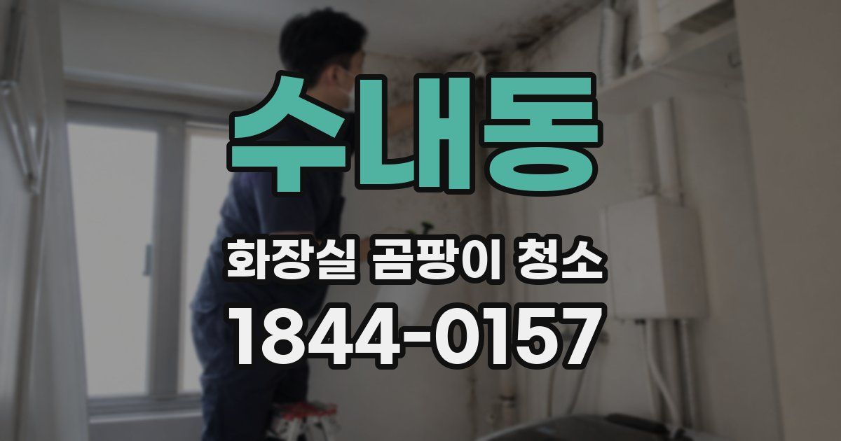 수내동 화장실 곰팡이 청소