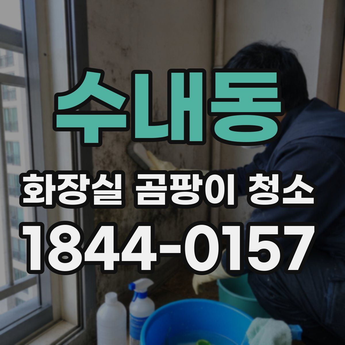 수내동 화장실 곰팡이 청소