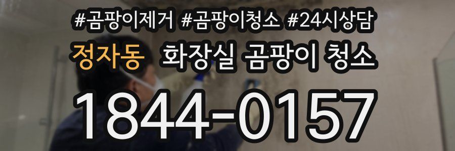 정자동 화장실 곰팡이 청소