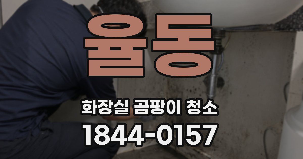 율동 화장실 곰팡이 청소