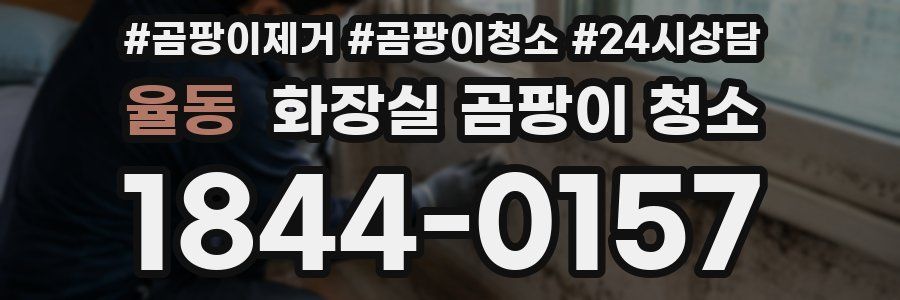 율동 화장실 곰팡이 청소