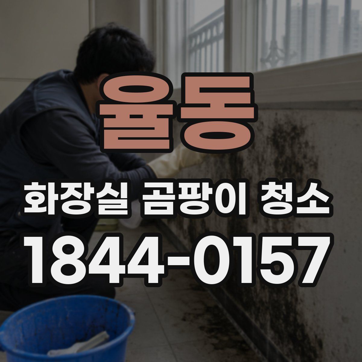 율동 화장실 곰팡이 청소