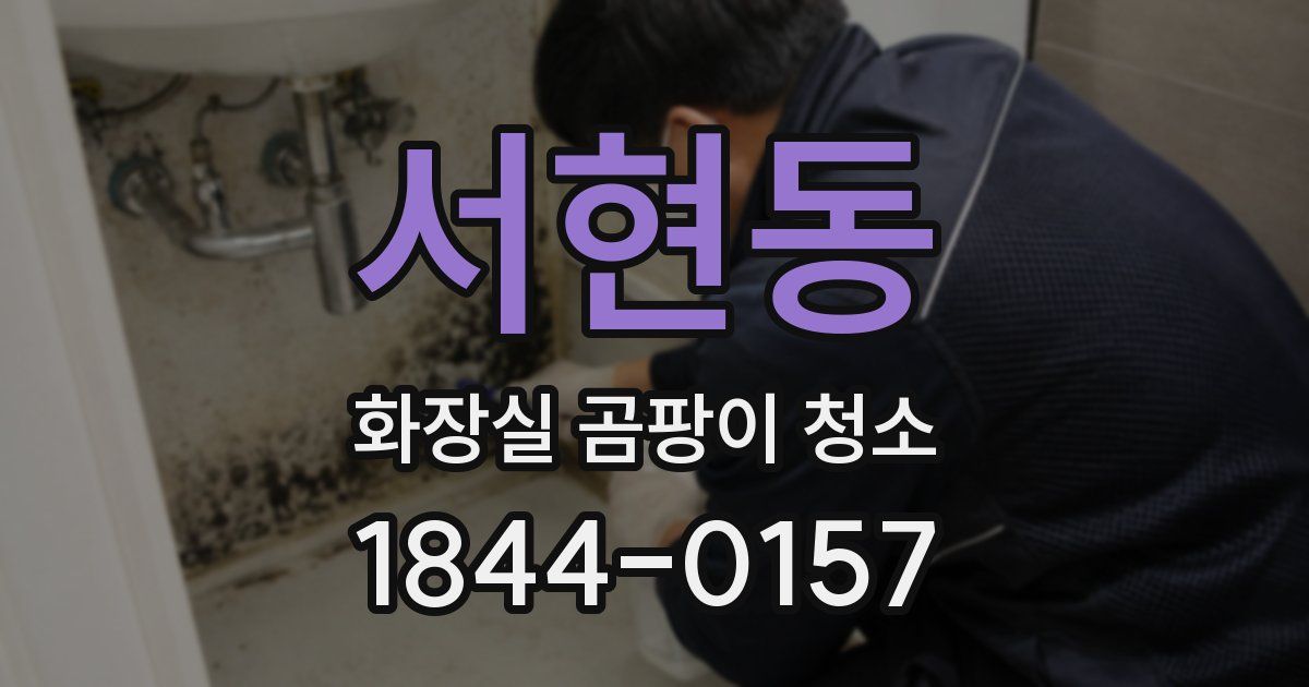 서현동 화장실 곰팡이 청소