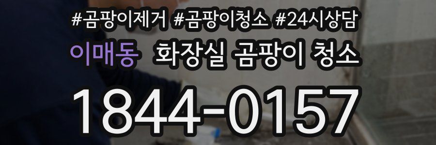 이매동 화장실 곰팡이 청소