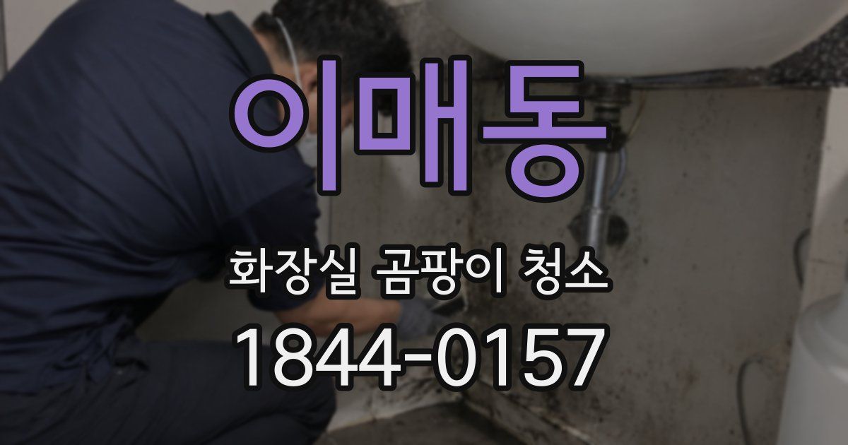 이매동 화장실 곰팡이 청소