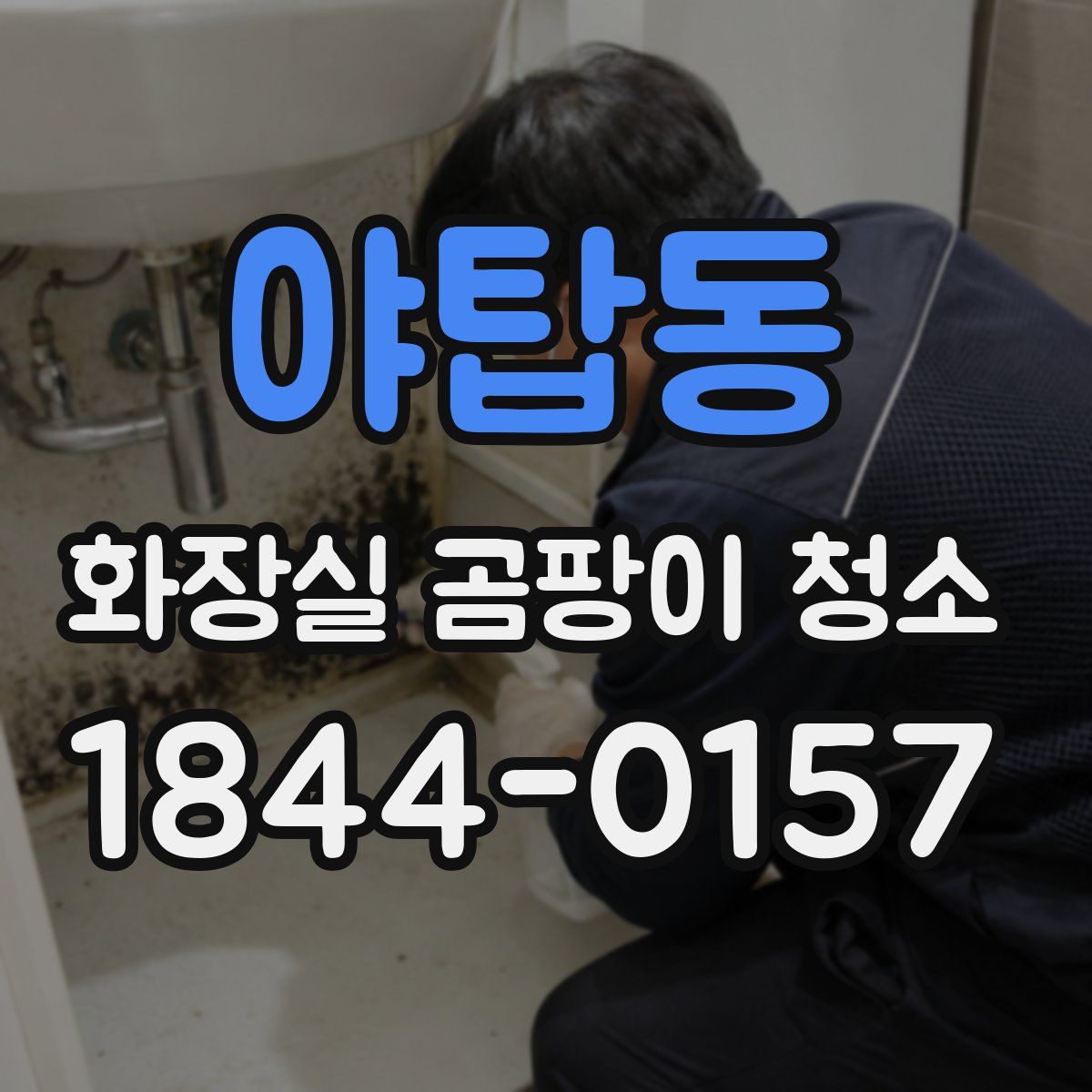 야탑동 화장실 곰팡이 청소