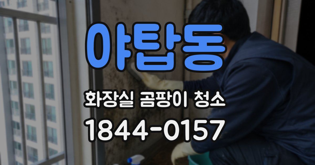 야탑동 화장실 곰팡이 청소