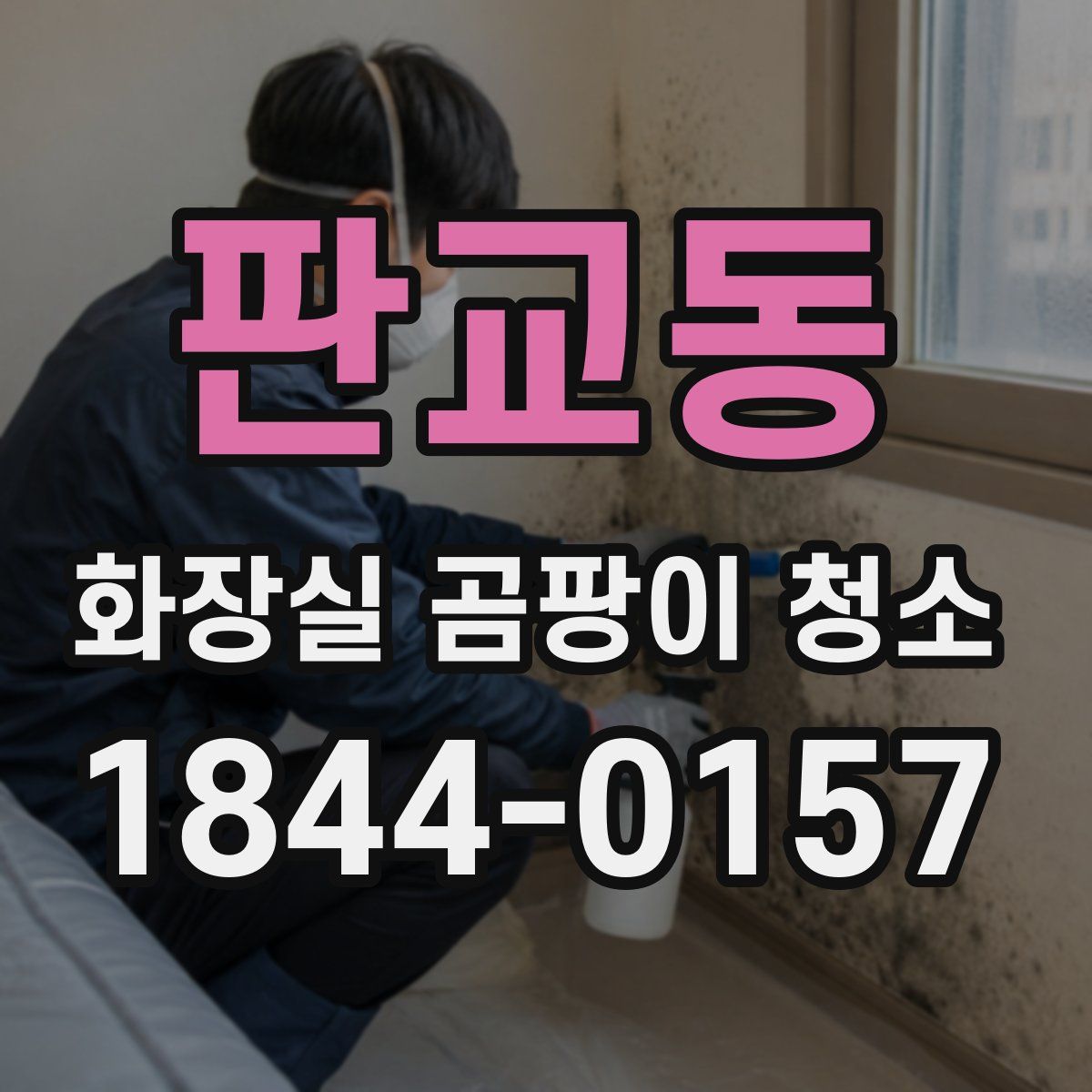 판교동 화장실 곰팡이 청소