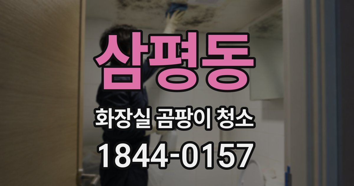 삼평동 화장실 곰팡이 청소