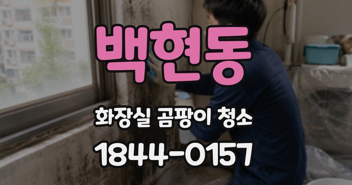 백현동 화장실 곰팡이 청소