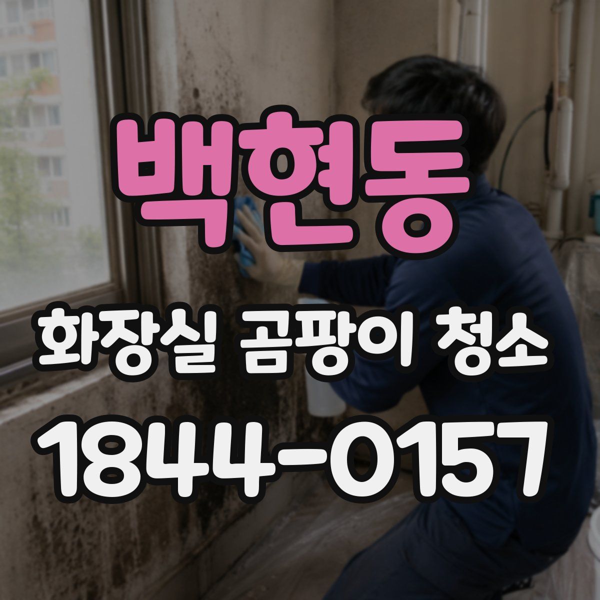 백현동 화장실 곰팡이 청소