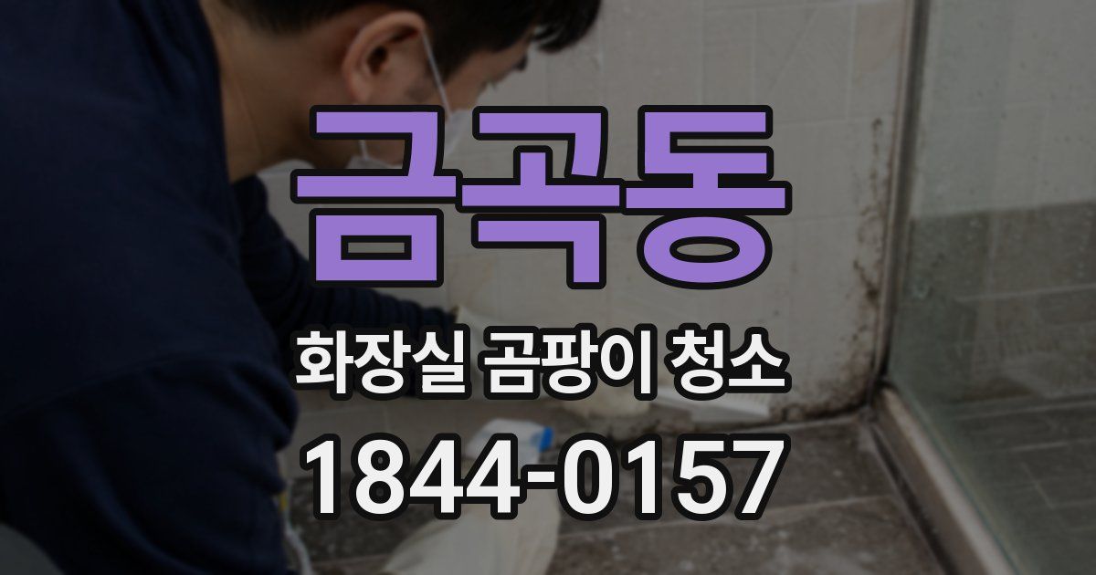금곡동 화장실 곰팡이 청소