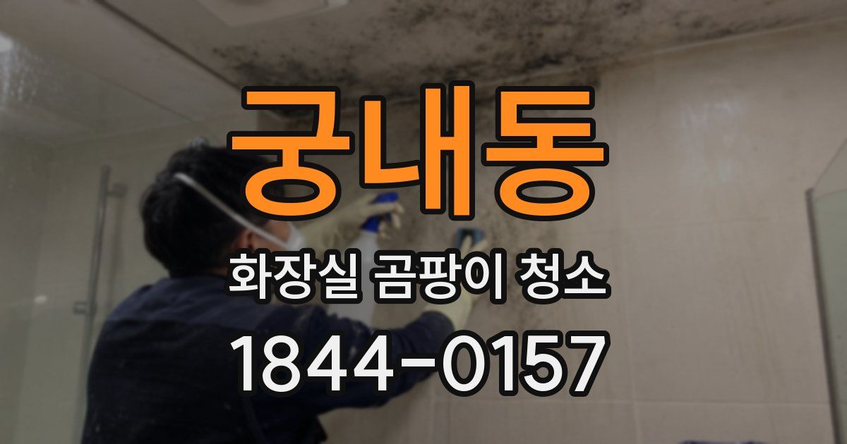 궁내동 화장실 곰팡이 청소