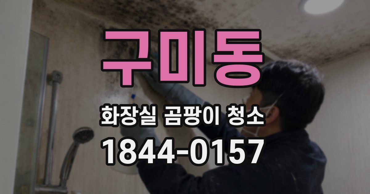 구미동 화장실 곰팡이 청소