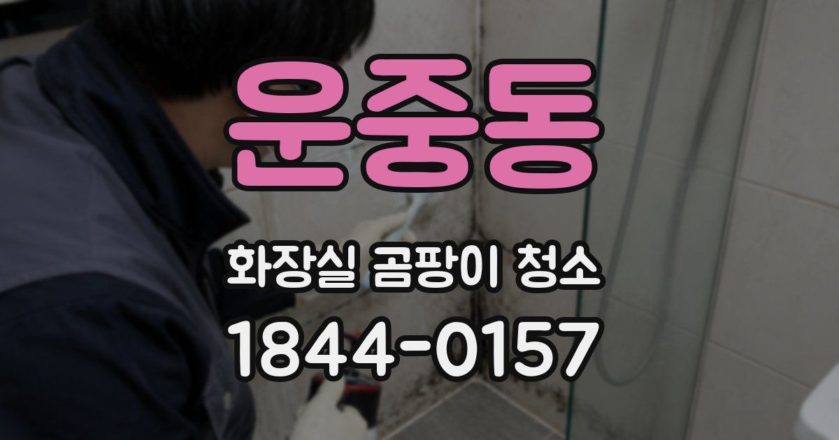 운중동 화장실 곰팡이 청소