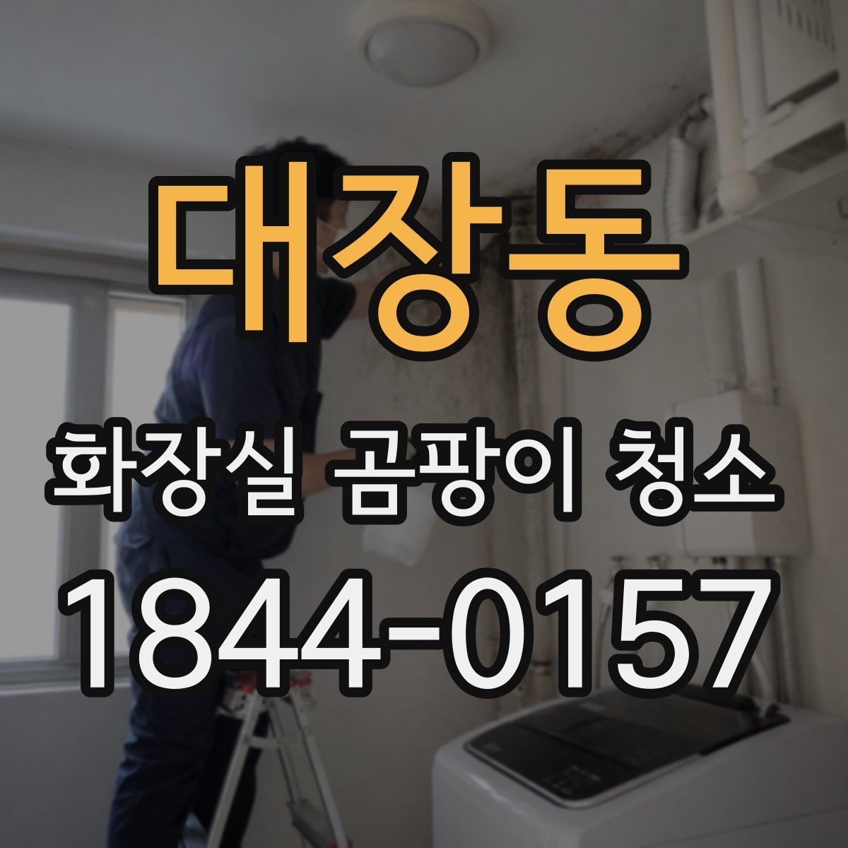 대장동 화장실 곰팡이 청소