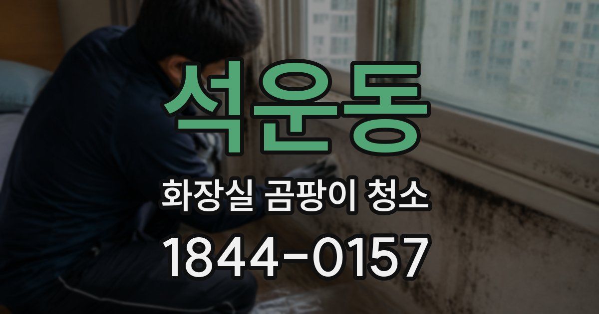 석운동 화장실 곰팡이 청소