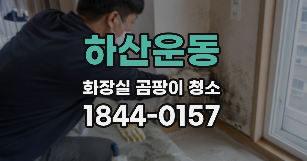 하산운동 화장실 곰팡이 청소