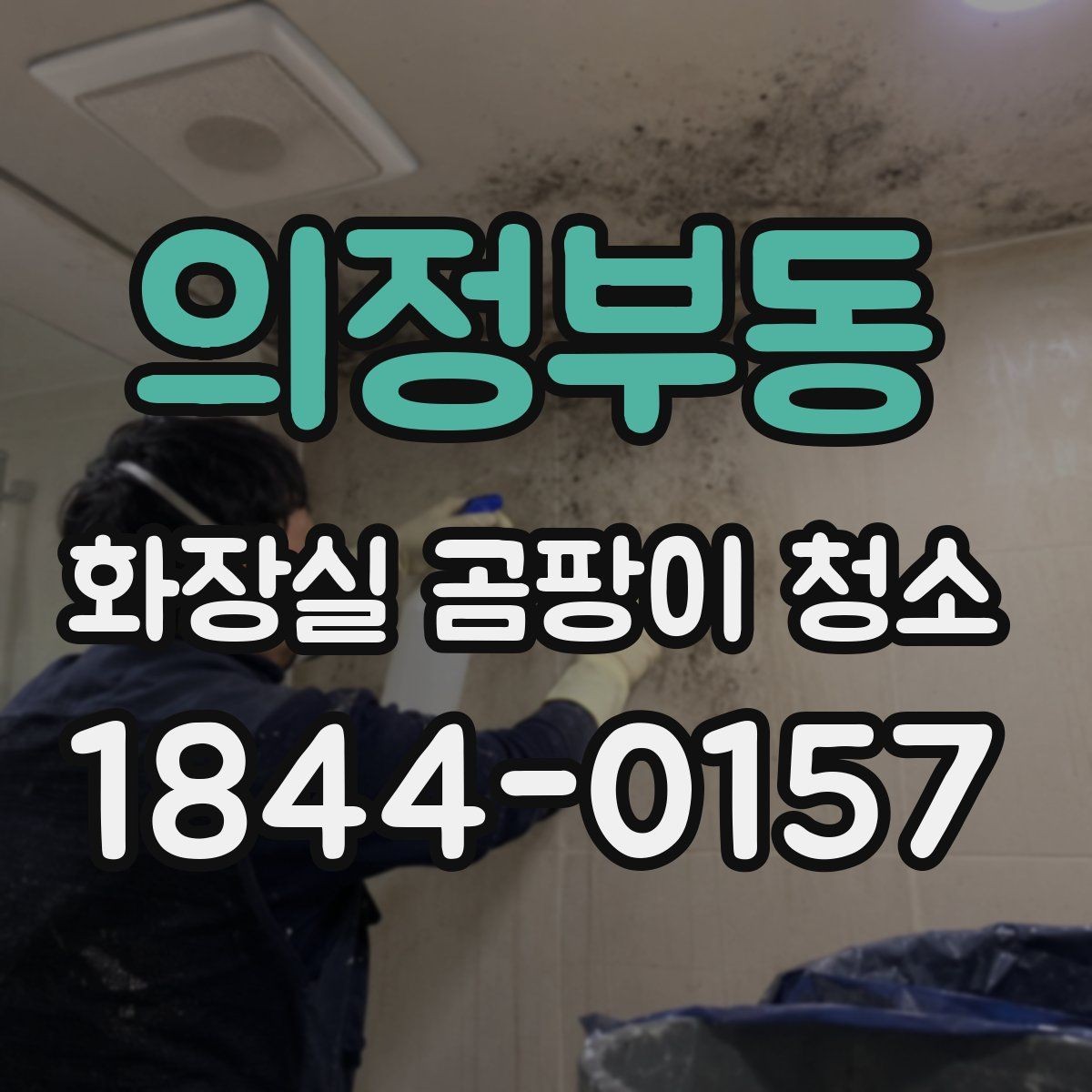 의정부동 화장실 곰팡이 청소 실리콘이 들뜬 경우 먼저 봐야 할 부분