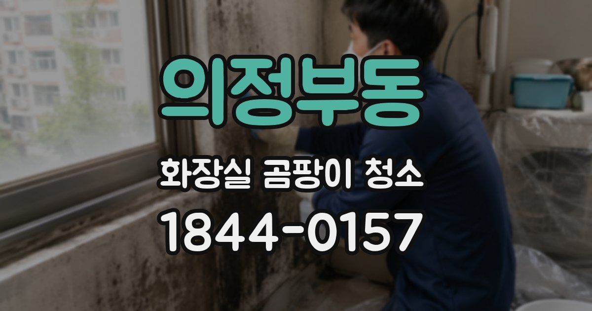 의정부동 화장실 곰팡이 청소