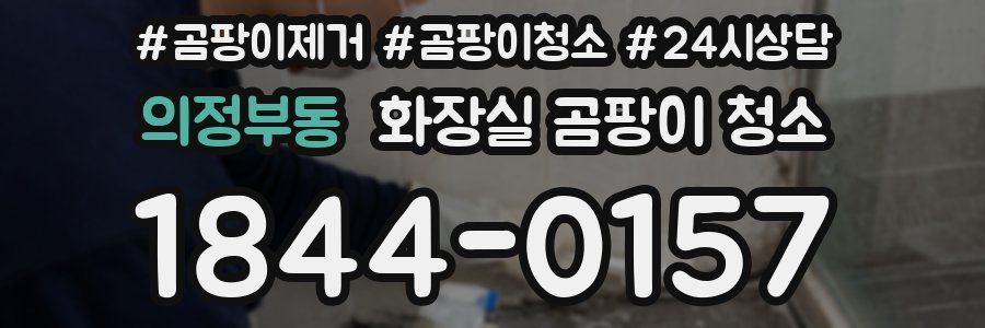 의정부동 화장실 곰팡이 청소