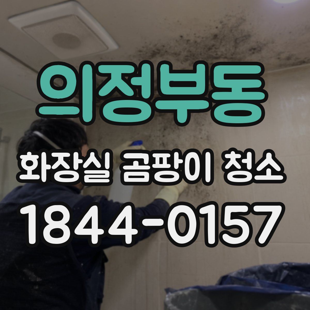 의정부동 화장실 곰팡이 청소