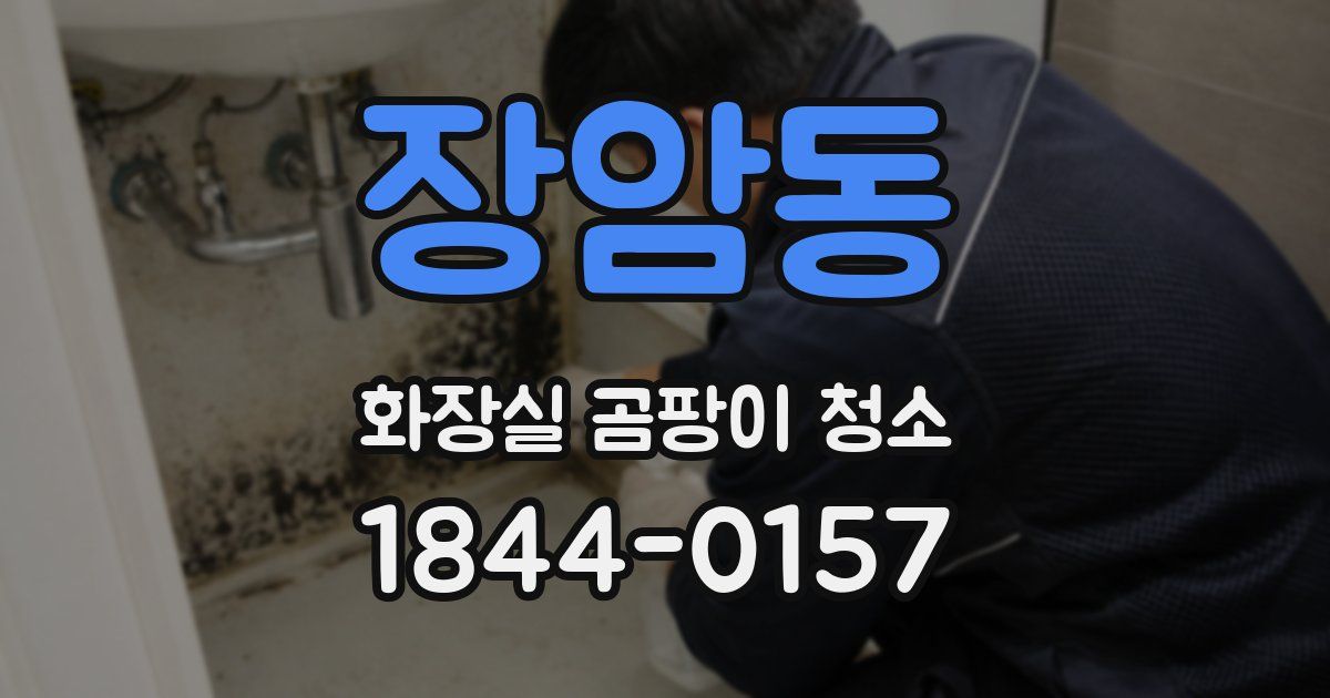 장암동 화장실 곰팡이 청소