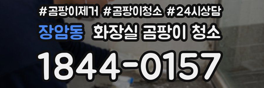 장암동 화장실 곰팡이 청소