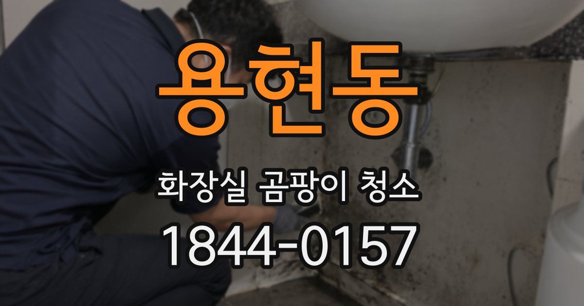 용현동 화장실 곰팡이 청소