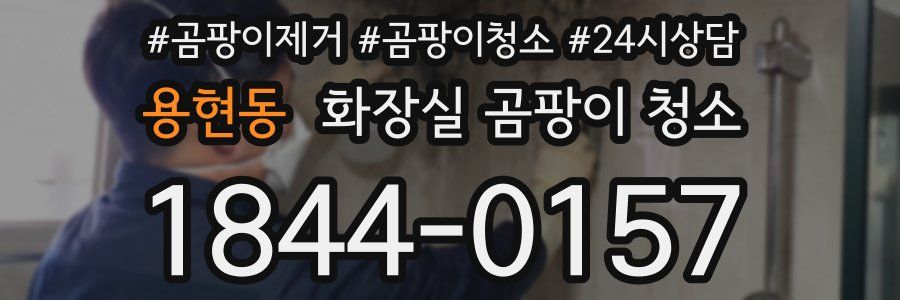 용현동 화장실 곰팡이 청소