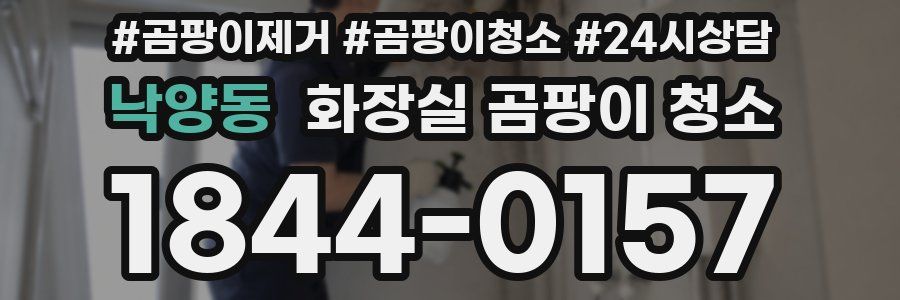 낙양동 화장실 곰팡이 청소