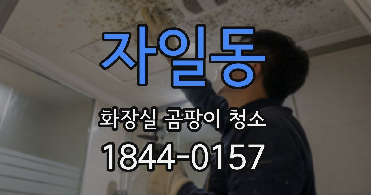 자일동 화장실 곰팡이 청소