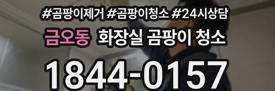 금오동 화장실 곰팡이 청소
