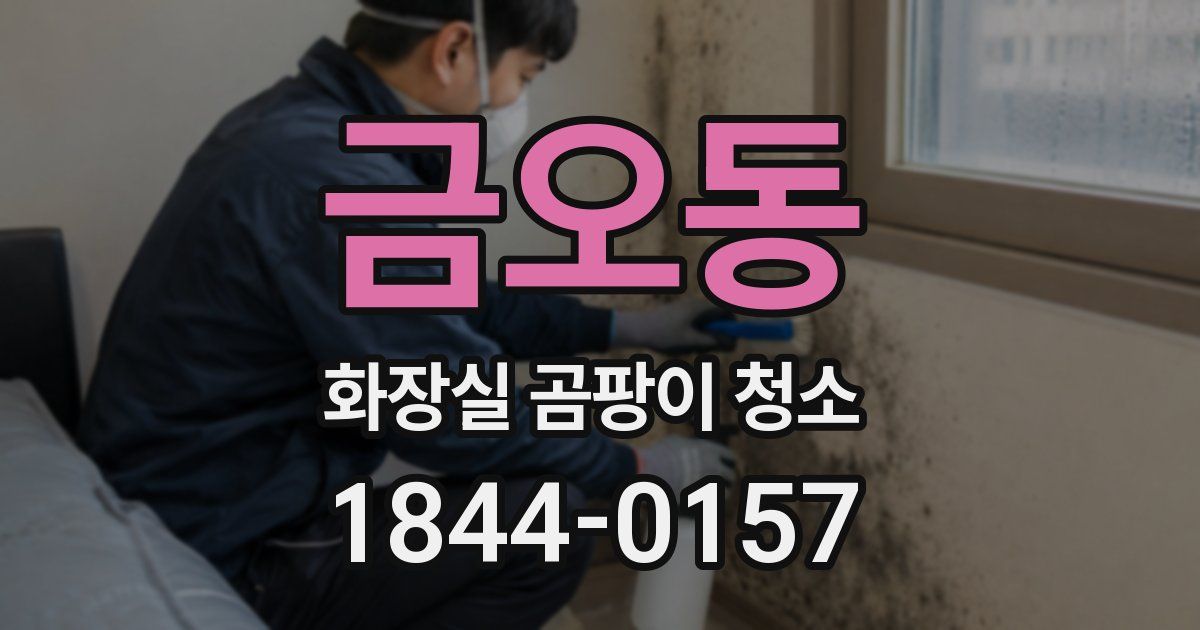 금오동 화장실 곰팡이 청소