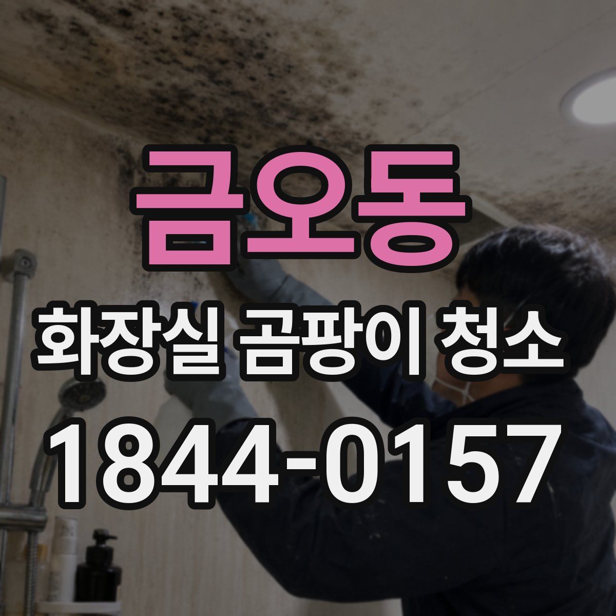 금오동 화장실 곰팡이 청소