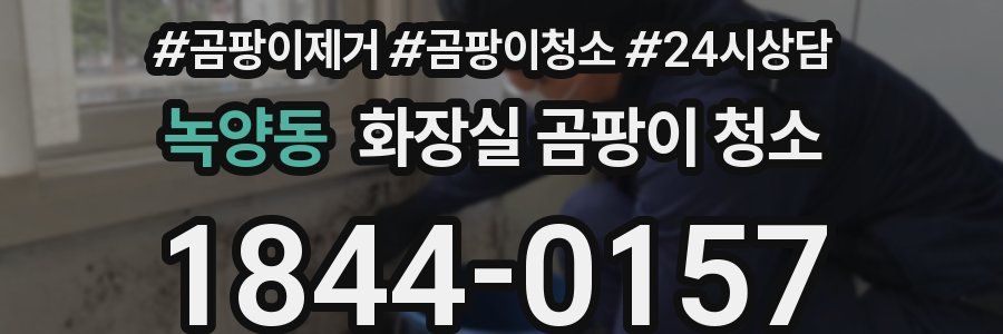 녹양동 화장실 곰팡이 청소
