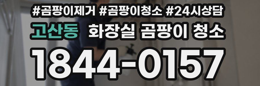 고산동 화장실 곰팡이 청소